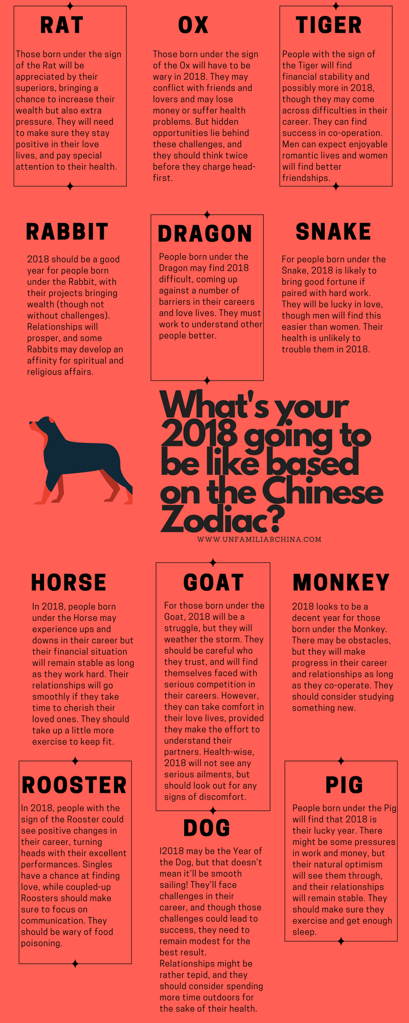 dog and snake chinese astrology, What You Need to Know.