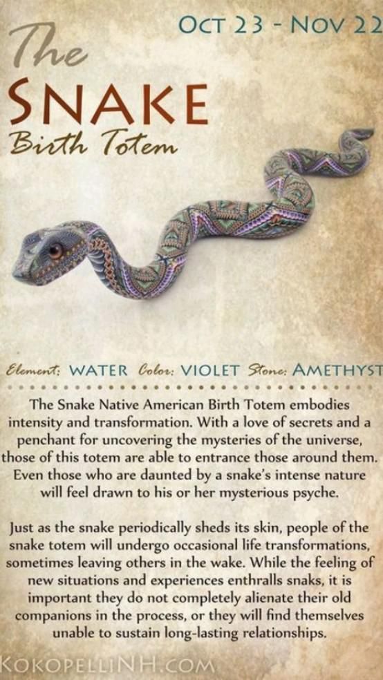 native american astrology snake,Native American Snake