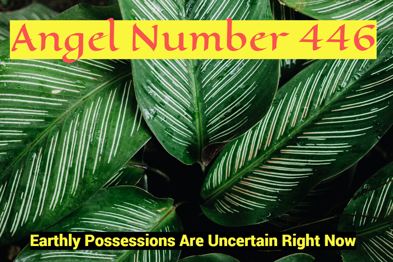 Unlock the Hidden Meaning Behind 446 Angel Number and Its Impact on Your Life