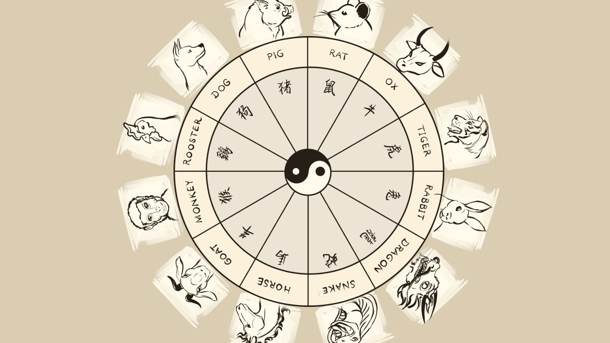 dog and snake chinese astrology, Understanding the Signs