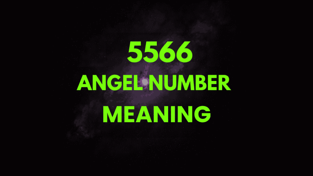 5566 Angel Number: Unlocking Spiritual and Personal Growth