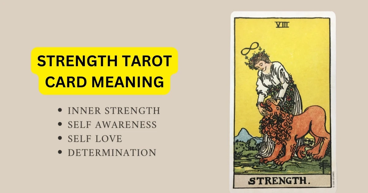 Tarot Strength as Feelings: Understanding Inner Strength and Compassion in Love